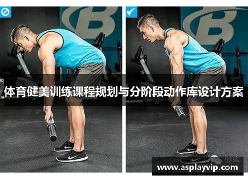 体育健美训练课程规划与分阶段动作库设计方案