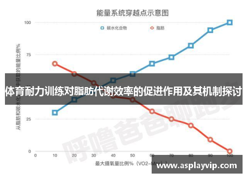 体育耐力训练对脂肪代谢效率的促进作用及其机制探讨